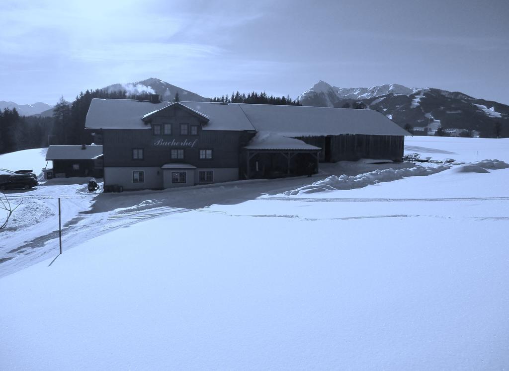 Appartements Bacherhof Schladming Eksteriør billede