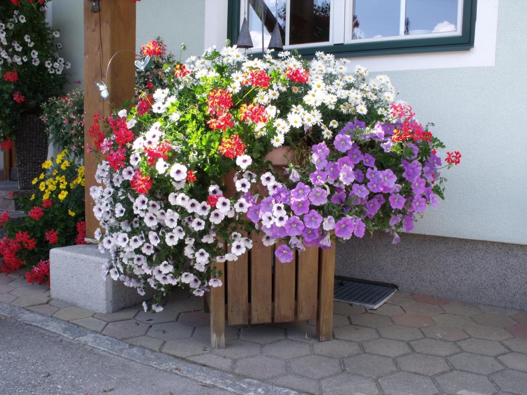 Appartements Bacherhof Schladming Eksteriør billede